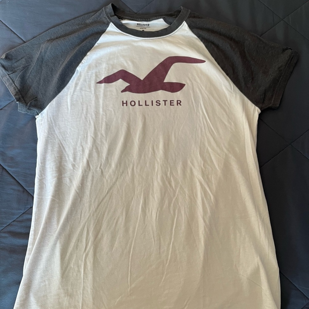 2 Hollister Men's Graphic Tees